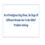 At A Prestigious Dog Show Six Dogs Of Different Breeds Are To Be GMAT Problem Solving